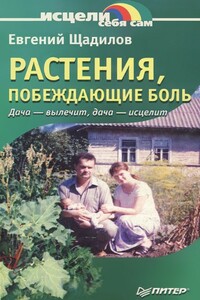 Растения, побеждающие боль.  Дача — вылечит, дача — исцелит