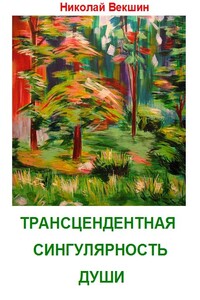 Трансцендентная сингулярность души