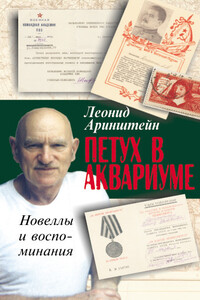 Петух в аквариуме — 2, или Как я провел XX век