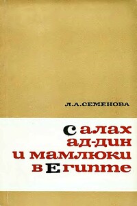 Салах ад-Дин и мамлюки в Египте