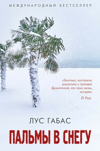 Пальмы в снегу