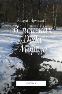 В поисках Деда Мороза