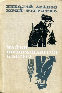 Чайки возвращаются к берегу. Книга 1. Янтарное море