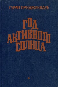 Год активного солнца