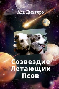 Созвездие Летающих Псов