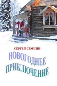 Новогоднее приключение