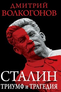 Триумф и трагедия. Политический портрет Сталина. Кн.1