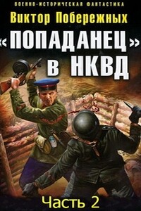 «Попаданец» в НКВД. Горячий июнь 1941-го — 2