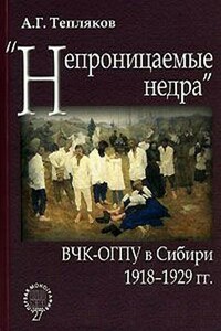 «Непроницаемые недра»: ВЧК-ОГПУ в Сибири, 1918–1929 гг.