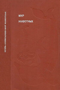 Мир животных. Рассказы о змеях, крокодилах, черепахах, лягушках, рыбах