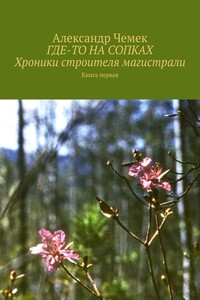 Где-то на сопках. Хроники строителя магистрали. Книга 1