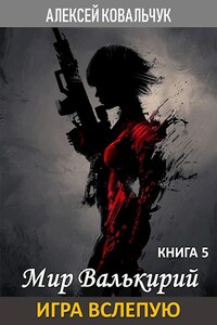 Мир Валькирий. Книга 5. Игра вслепую.