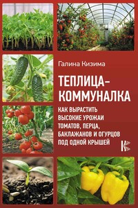 Теплица-коммуналка. Как вырастить высокие урожаи томатов, перца, баклажанов и огурцов под одной крышей