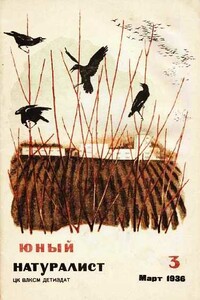 Юный натуралист, 1936 № 03