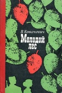 Молодой лес