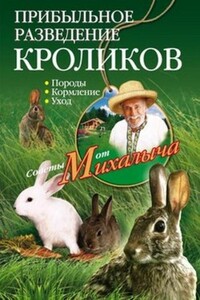 Прибыльное разведение кроликов. Породы, кормление, уход