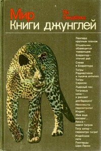 Мир Книги джунглей