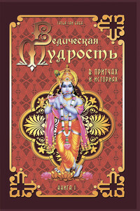 Ведическая мудрость в притчах и историях. Книга 1