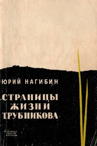 Страницы жизни Трубникова