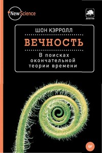 Вечность. В поисках окончательной теории времени