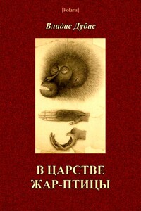 В царстве жар-птицы