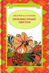 Разноцветная бабочка (легенда)