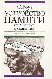 Устройство памяти. От молекул к сознанию