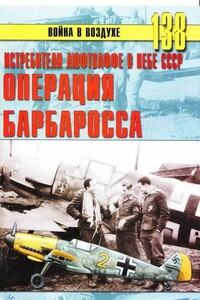 Истребители Люфтваффе в небе СССР