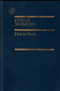 После бури. Книга 1