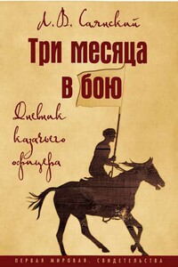 Три месяца в бою. Дневник казачьего офицера