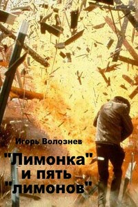 «Лимонка» и пять «лимонов»