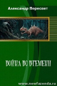 Война во времени