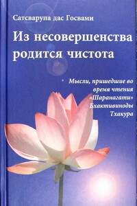 Из несовершенства возникнет чистота