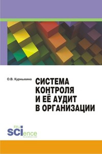 Система контроля и её аудит в организации