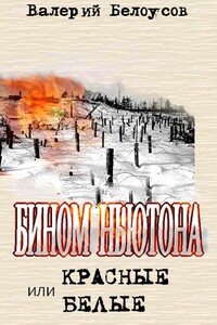 Бином Ньютона, или Красные и Белые. Ленинградская сага