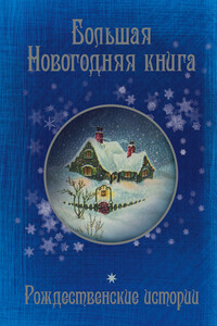 Большая Новогодняя книга. 15 историй под Новый год и Рождество