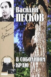 В соболином краю