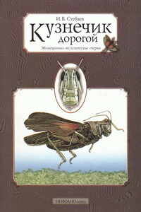 Кузнечик дорогой. Эволюционно-экологические очерки