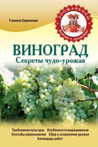 Виноград. Секреты чудо-урожая