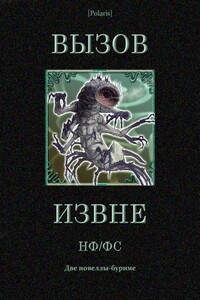 Вызов извне: НФ /ФС